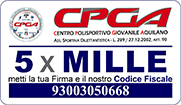 CPGA 5x1000 - Cod. Fis. 93003050668