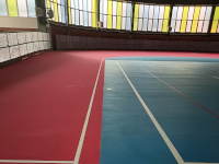 Pista Palazzetto