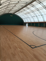 Palasandolo